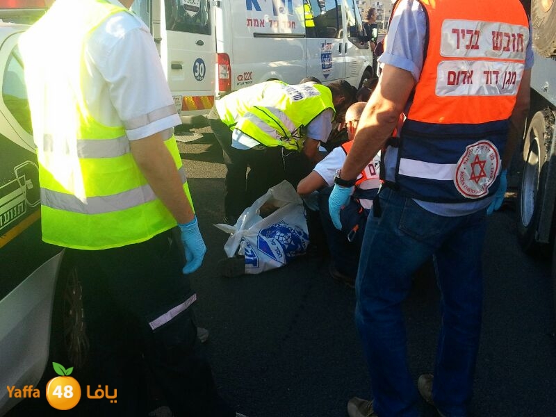 sha7enaramlalud527 (4).jpg